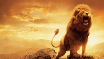 bold lion